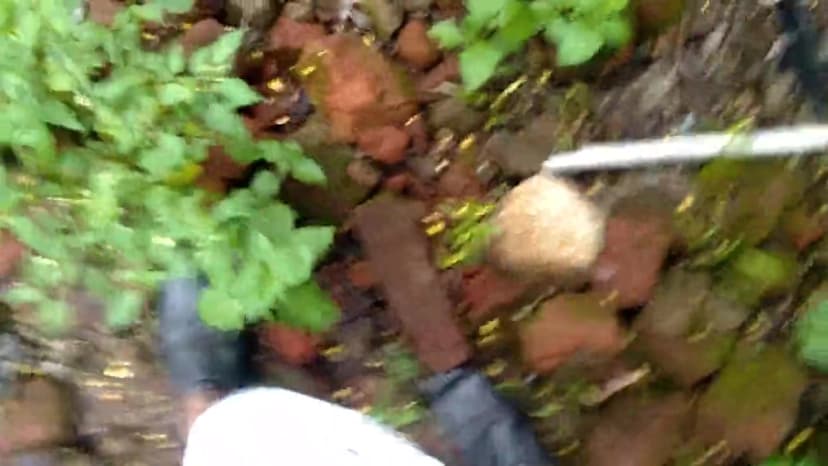Thumbnail for Indian couple fucking in the forest outside their car